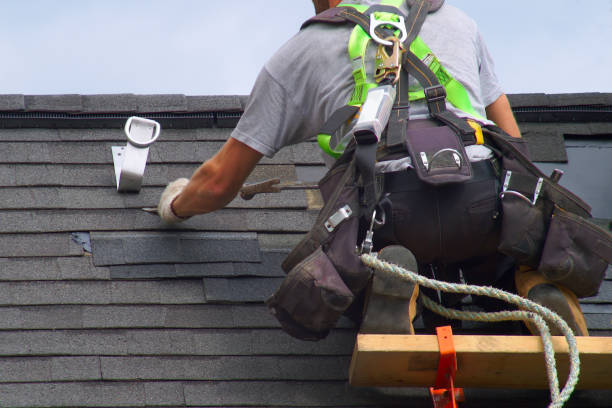 Roof Waterproofing Services in Delhi, LA