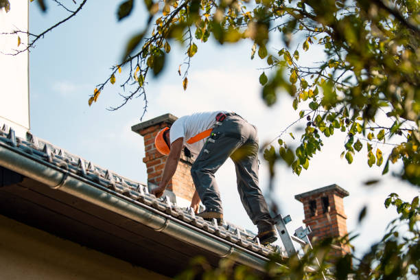 Best Roof Repair Services  in Delhi, LA